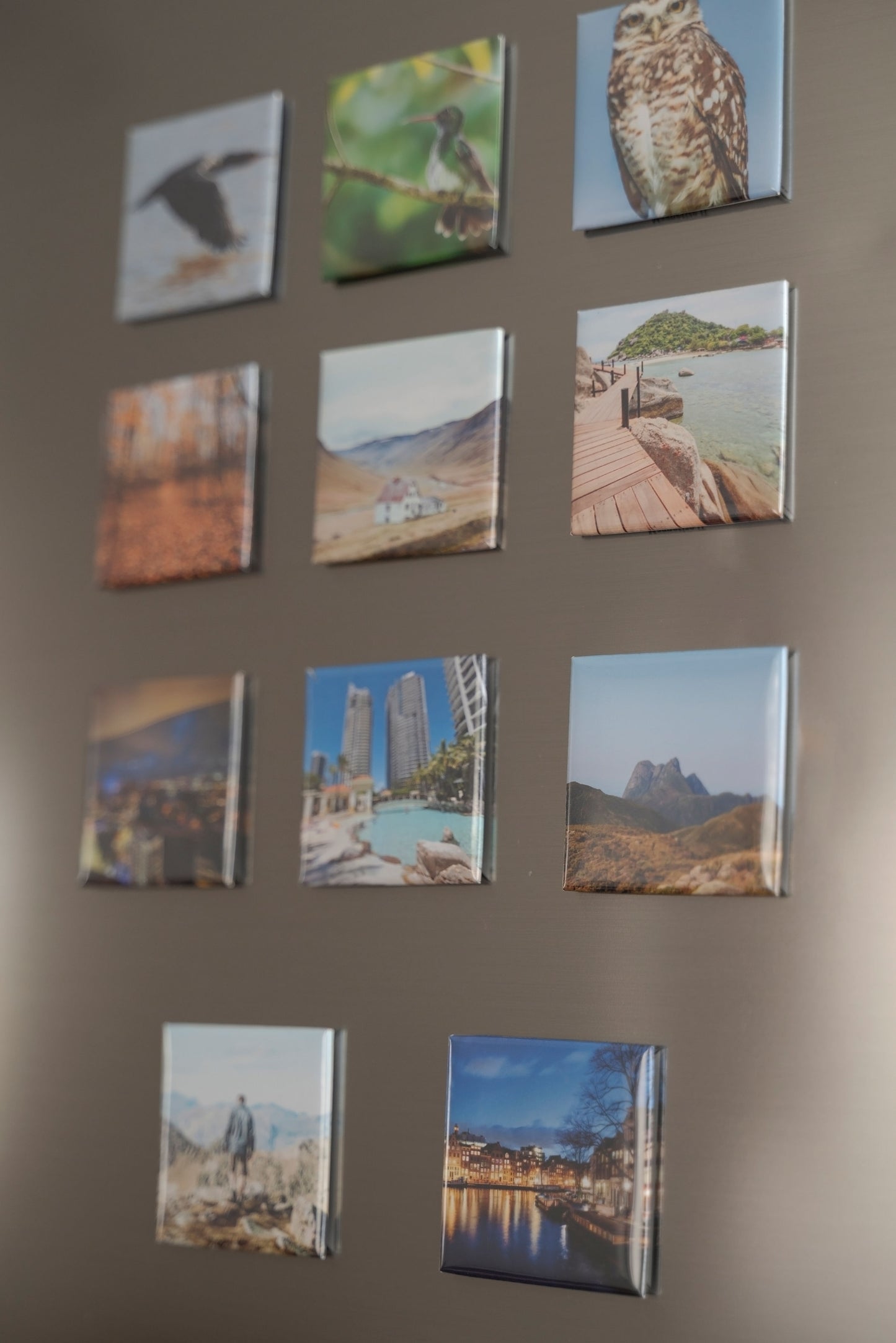 Custom Magnets